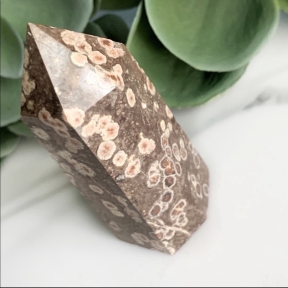 Jasper | Fish Eye - Picture 2 of 4